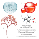Meder Hydra Fill Mask 5 шт Зволожувальна та наповнювальна маска Гідра-Філл — Фото 9
